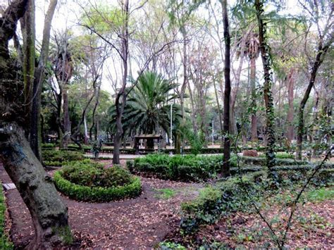 La Condesa Mexico City - A Great Walking Neighborhood