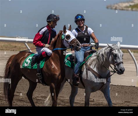 Horse racing action at the Cal Expo in Sacramento, California Stock Photo - Alamy