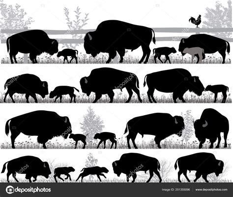 Silhouettes American Bison Buffalo Outdoors — Stock Vector © 160377 #201355096