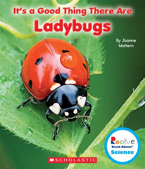 Books about lady bugs - My Mommy Style