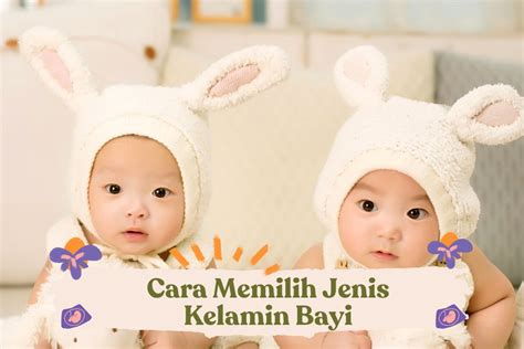 Cara Menentukan Jenis Kelamin Bayi, Penentu Jenis Kelamin Bayi