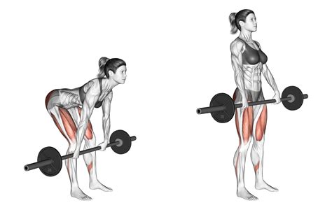 Romanian Deadlift: Benefits, Muscles Used, and More - Inspire US