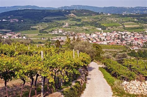 Valpolicella: The Best Italian Wine Region You've Never Heard Of • Wander Your Way