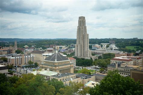 Understanding, Building and Achieving Diversity and Inclusion Excellence in the University of ...