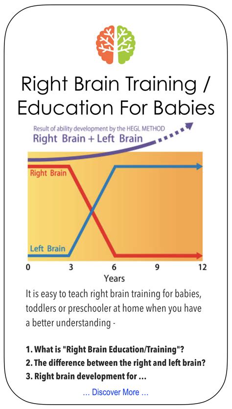 Right Brain Education & Training Activities | Babies & Toddlers At Home