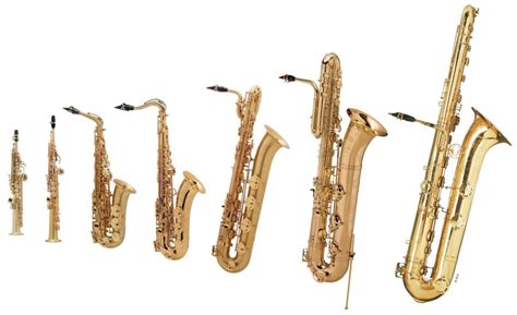 Types of Saxophones: Everything You Need to Know