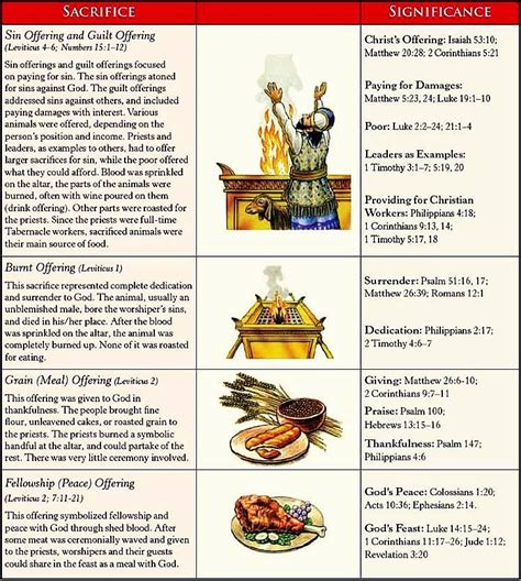 BCC Bible Plan: Levitical offerings and sacrifices