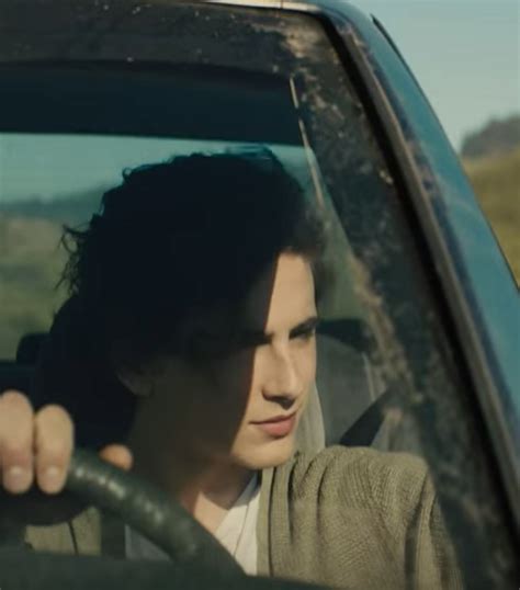 Timothée Chalamet Struggles With Addiction In ‘Beautiful Boy’ Trailer