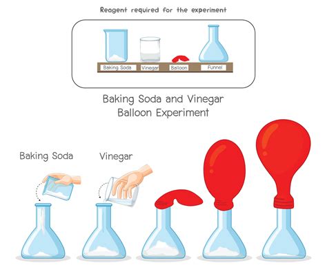 Baking Soda and Vinegar Balloon Science experiment 21669329 Vector Art at Vecteezy