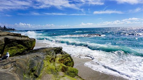 Surfline Pacific Beach