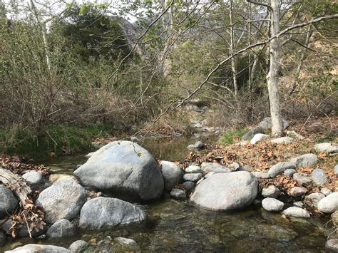 Eaton Canyon Falls: Pasadena's Infamous Waterfall Hike