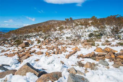 The Scenery View on the Summit of Mount Wellington after Snow Storm ...