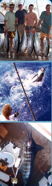 Bahamas Fishing - Bahamas Fish Report - Best Time or Season to Fish the Bahamas - Fishing ...