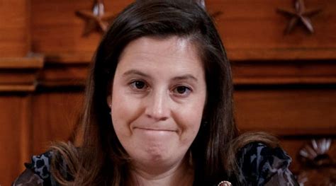 'This is too stupid': Elise Stefanik's plan to 'rewrite' Trump's ...