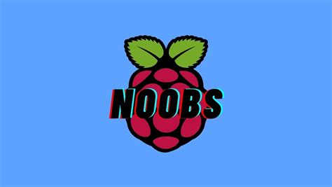 How To Install And Set Up Raspbian/Raspberry Pi OS Using NOOBS?