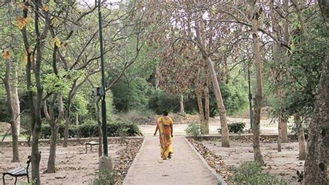 South Delhi parks, north Delhi schools to start yoga classes soon ...