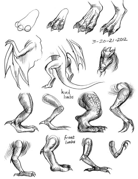 How To Draw Dragon Claws at How To Draw