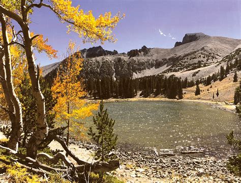 Great Basin Water Network -- greatbasinwater.net