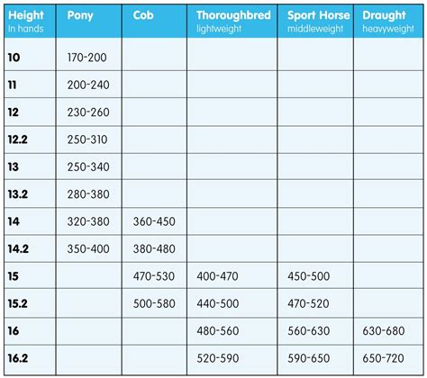 Horse Rider Weight Chart