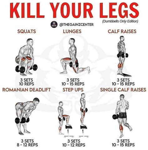 leg training | Leg workout routine, Full body dumbbell workout, Gym ...