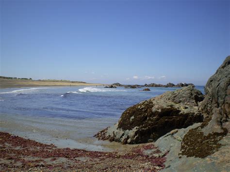 Riverton Rocks, New Zealand Riverton, Places Ive Been, New Zealand, Rocks, Coastline, Beach ...