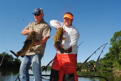 Big Flathead Catfish Fishing How To's | Great Days Outdoors