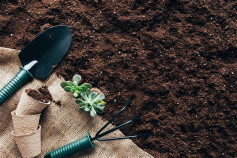 Why Soil Is The Most Important Part of Your Garden