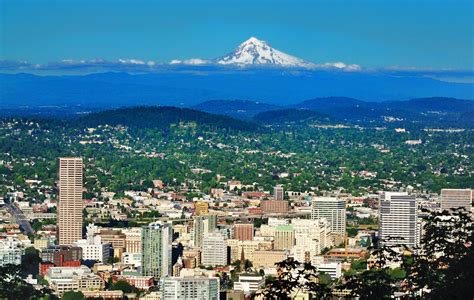 Mt. Tabor Portland Neighborhood Guide | Priority Moving