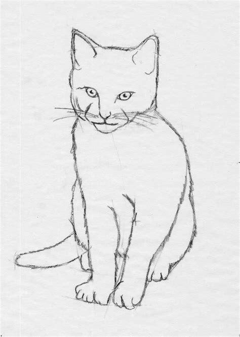 Cat Sketch Easy at PaintingValley.com | Explore collection of Cat Sketch Easy