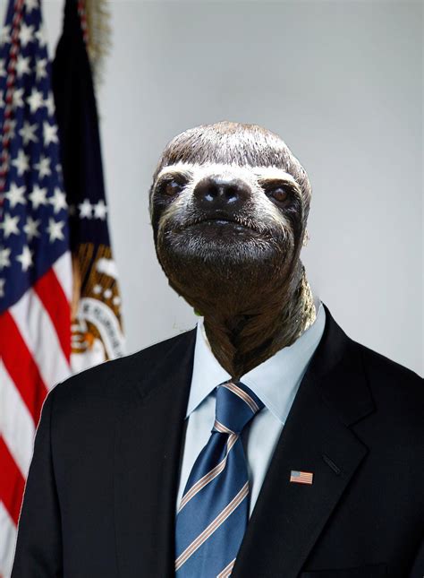 Weird Sloth : r/photoshopbattles