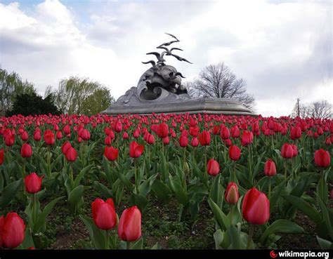 Lady Bird Johnson Park - Washington, D.C.