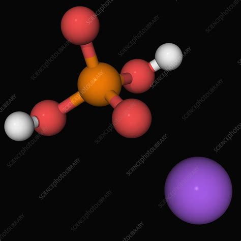 Monosodium phosphate molecule - Stock Image - F004/5875 - Science Photo Library