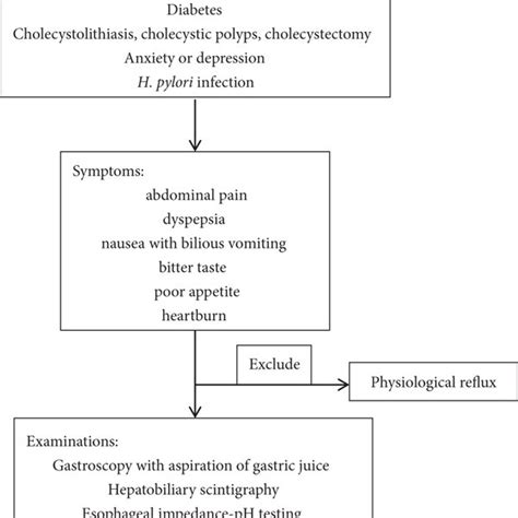 Pathogenesis of bile reflux gastritis. Reflux-gastroduodenal ...