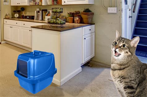 Extra-Giant Enclosed Sifting Cat Litter Pan (product) - Van Ness Pets