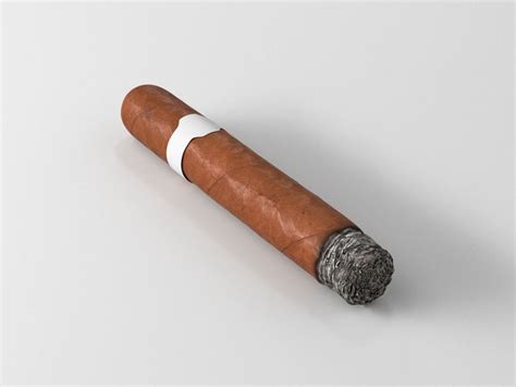 Cigar lit 3D model | CGTrader