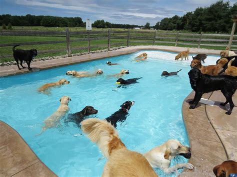 Even More Funny Swimming Pool Fail Pics - Grand Vista Pools