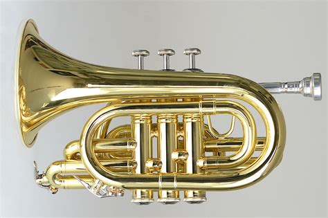 Temby Professional – Pocket Trumpet | Temby Australia