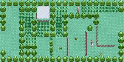 Route 2 | Pokemon Ultimate Wiki | Fandom