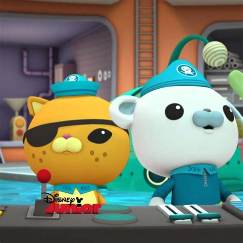 Octonauts Full Episodes HD - YouTube