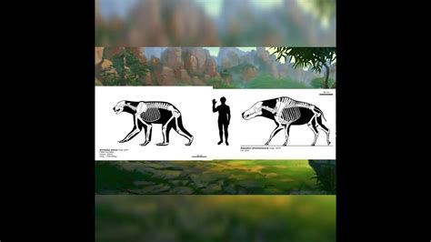 Arctodus Simus And Daeodon Shosonensis Size Comparison 2 - YouTube