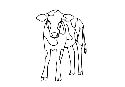 Cow Drawing Outline