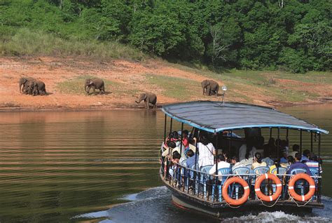 Boating and Wildlife Sighting at Periyar Lake Thekkady entry fee, Boating and Wildlife Sighting ...