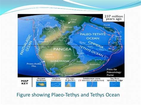 Evolution of tethys sea