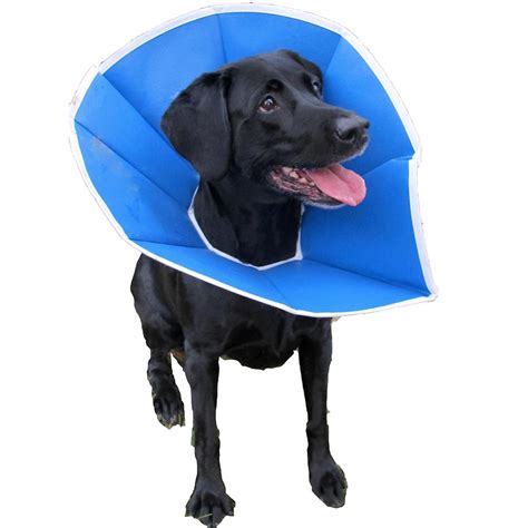 Trimline Soft Elizabethan Collar 12 inch - Dog E-Collars at Arcata Pet ...