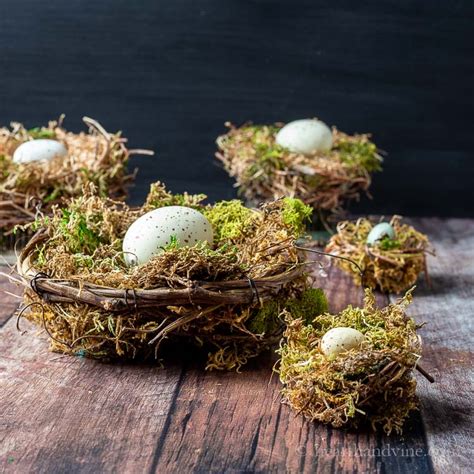 Bird Nest Craft for Your Spring Decor | Hearth and Vine