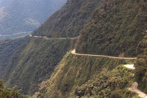 The Bolivian Yungas: A Transitional Treasure Trove of Biodiversity ...