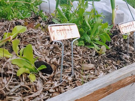 Hand-stamped Copper Plant Labels | May 14, 2020 | sk | Flickr