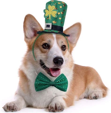 Amazon.com : St Patricks Day Dog Costume - St. Patty's Day Doggie ...