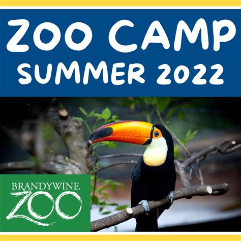 SUMMER CAMP REGISTRATION OPEN NOW AT THE BRANDYWINE ZOO - Highlands ...