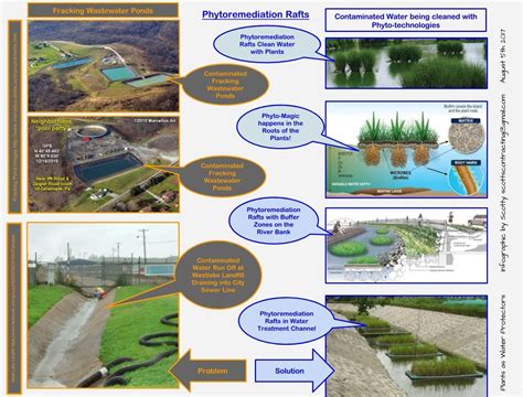 The Pollution Solution : Phytomining: Plant biomass containing ...